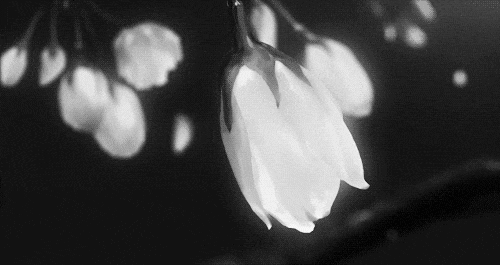Archillect ID 111759