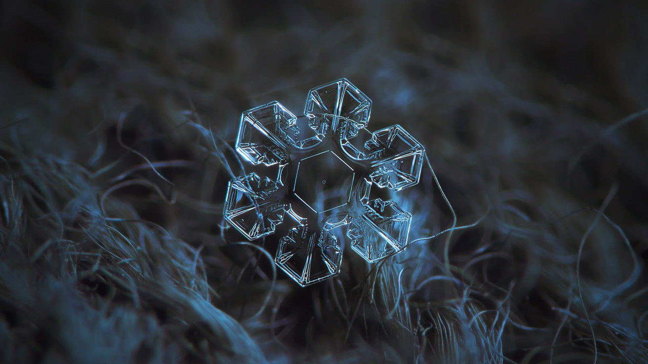 Archillect ID 111784