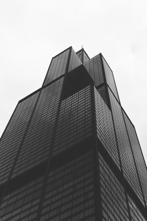 Archillect ID 111947
