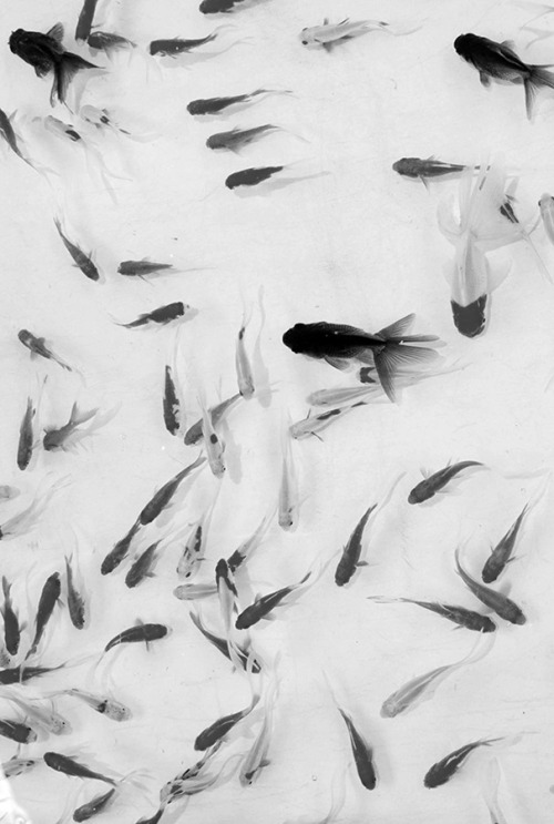 Archillect ID 112114