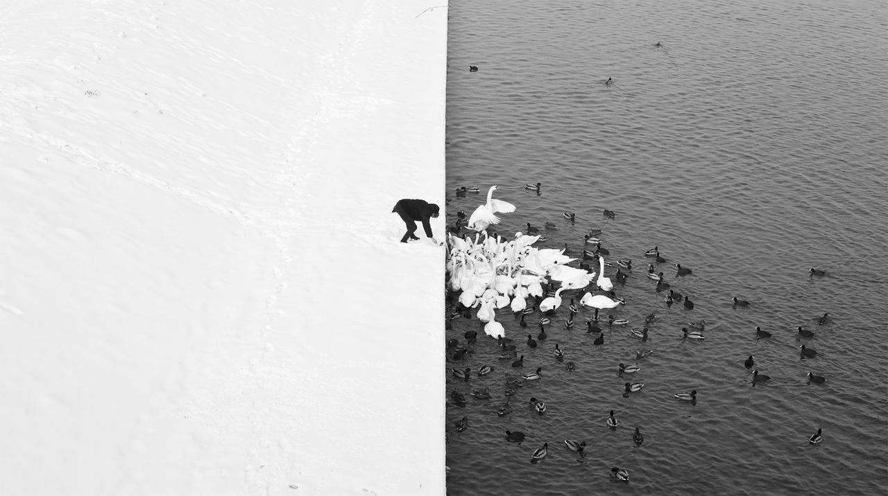 Archillect ID 112148