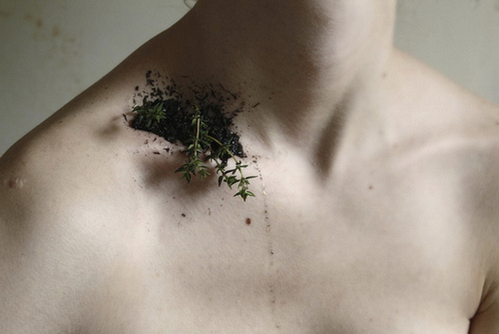 Archillect ID 112289