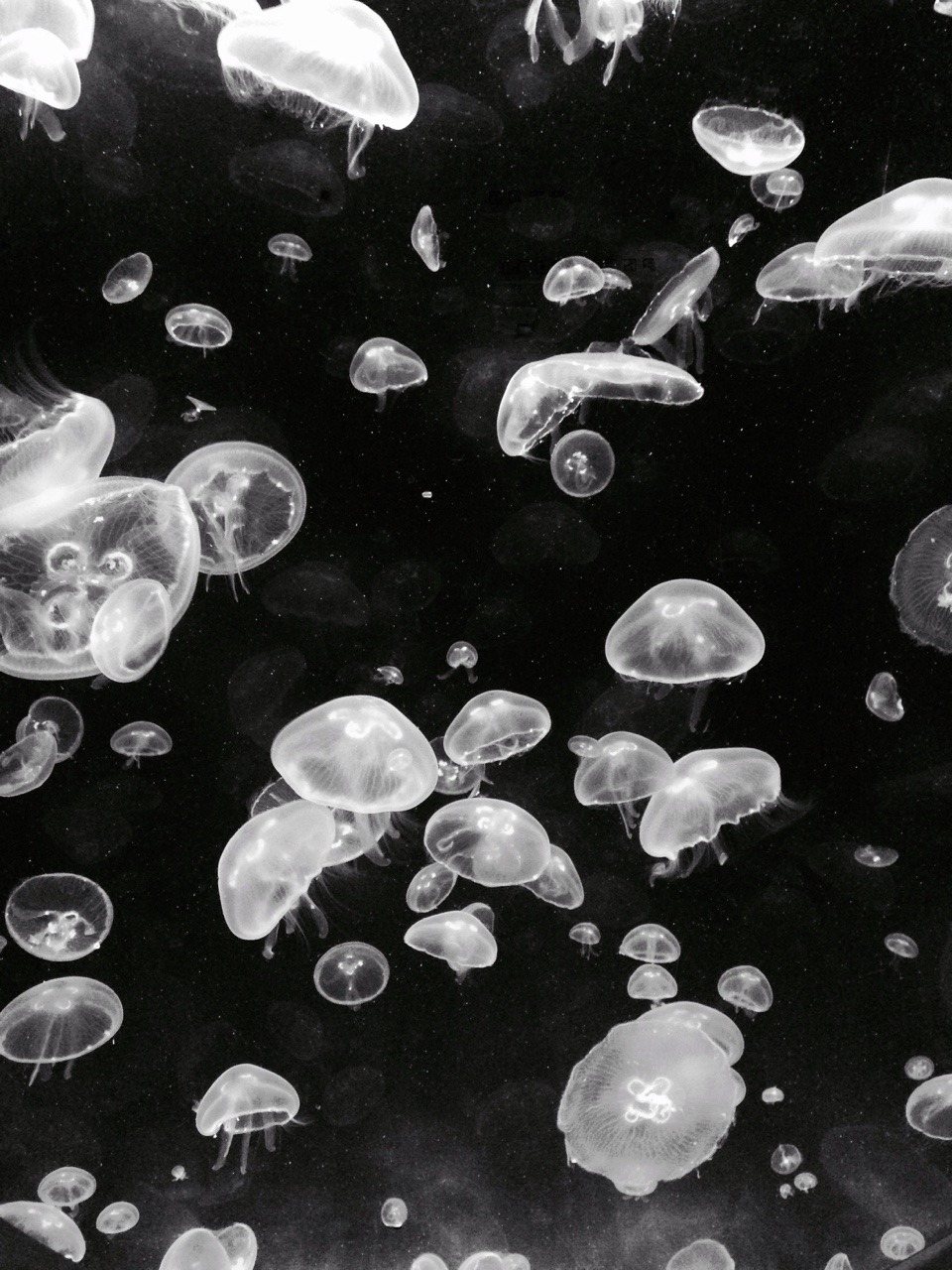 Archillect ID 112879