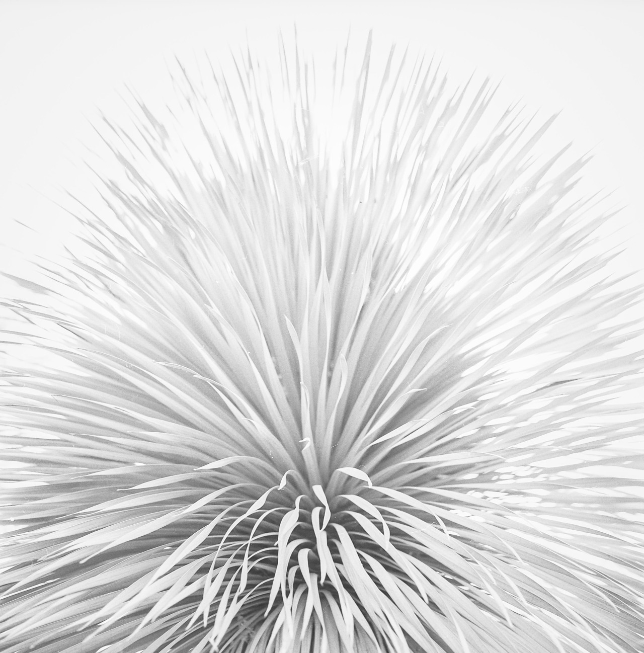 Archillect ID 113012