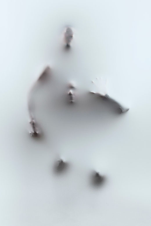 Archillect ID 113092