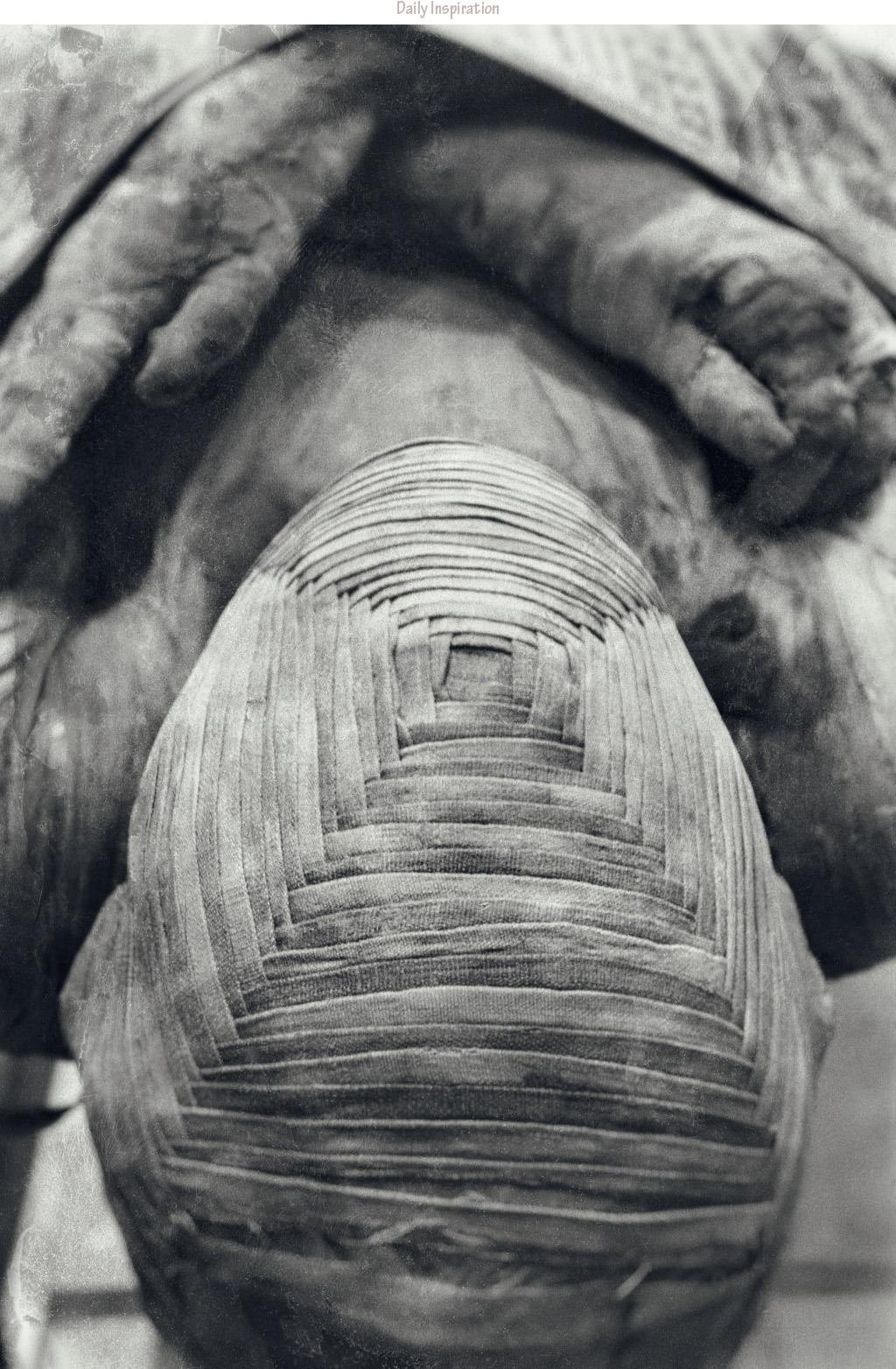Archillect ID 113158