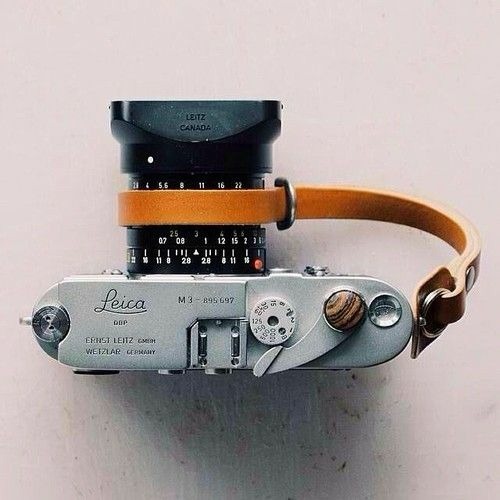 Archillect ID 113294