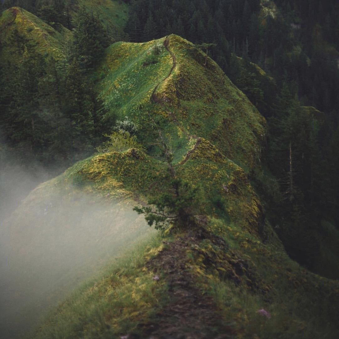 Archillect ID 113326