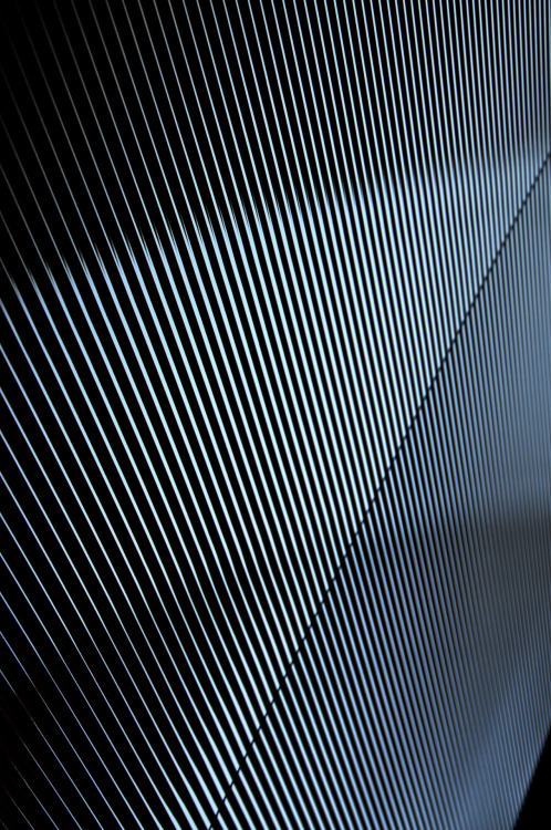 Archillect ID 113375