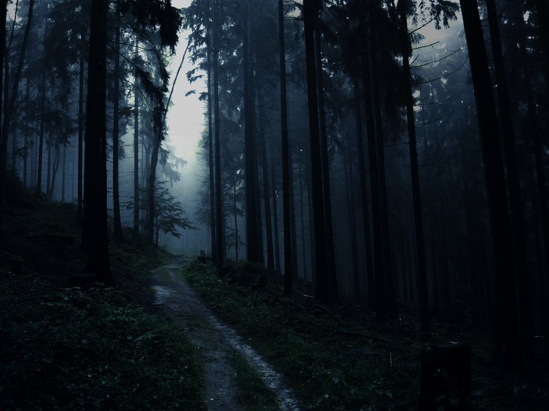 Archillect ID 113383