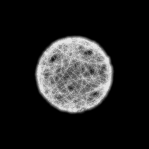 Archillect ID 113404