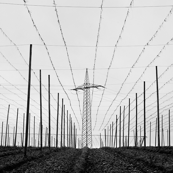 Archillect ID 113418