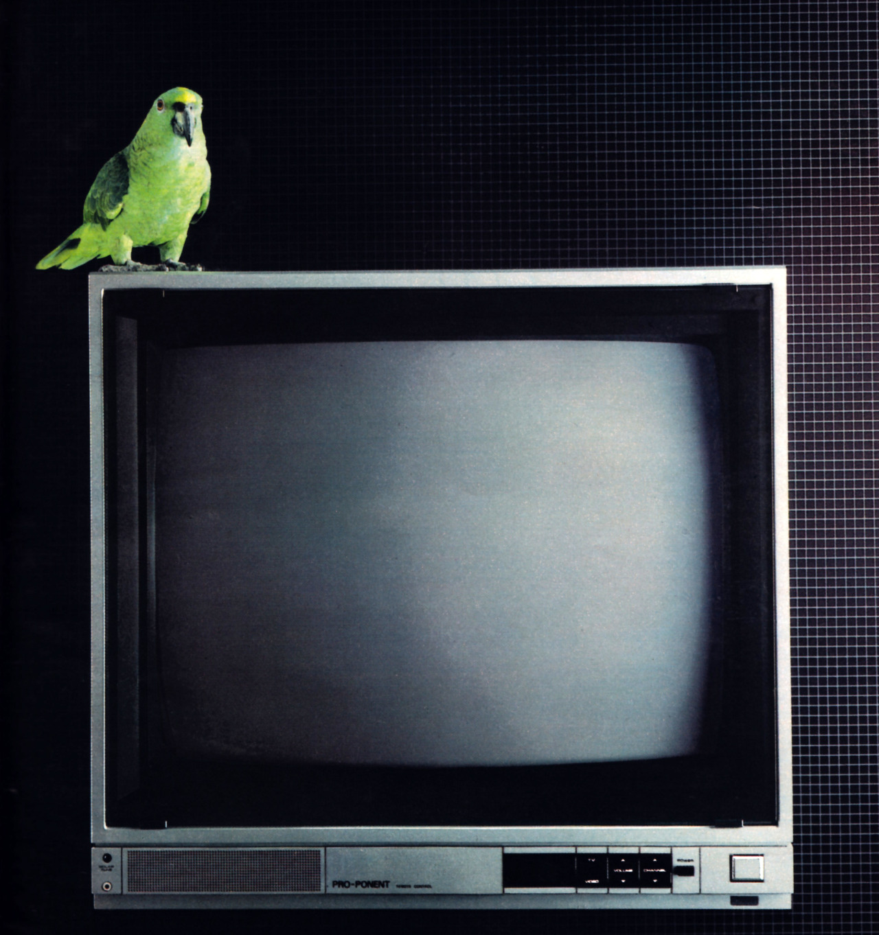 Archillect ID 113472