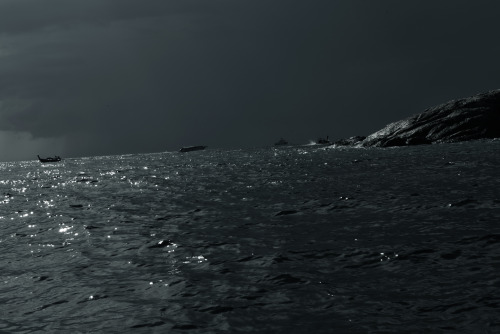Archillect ID 113497