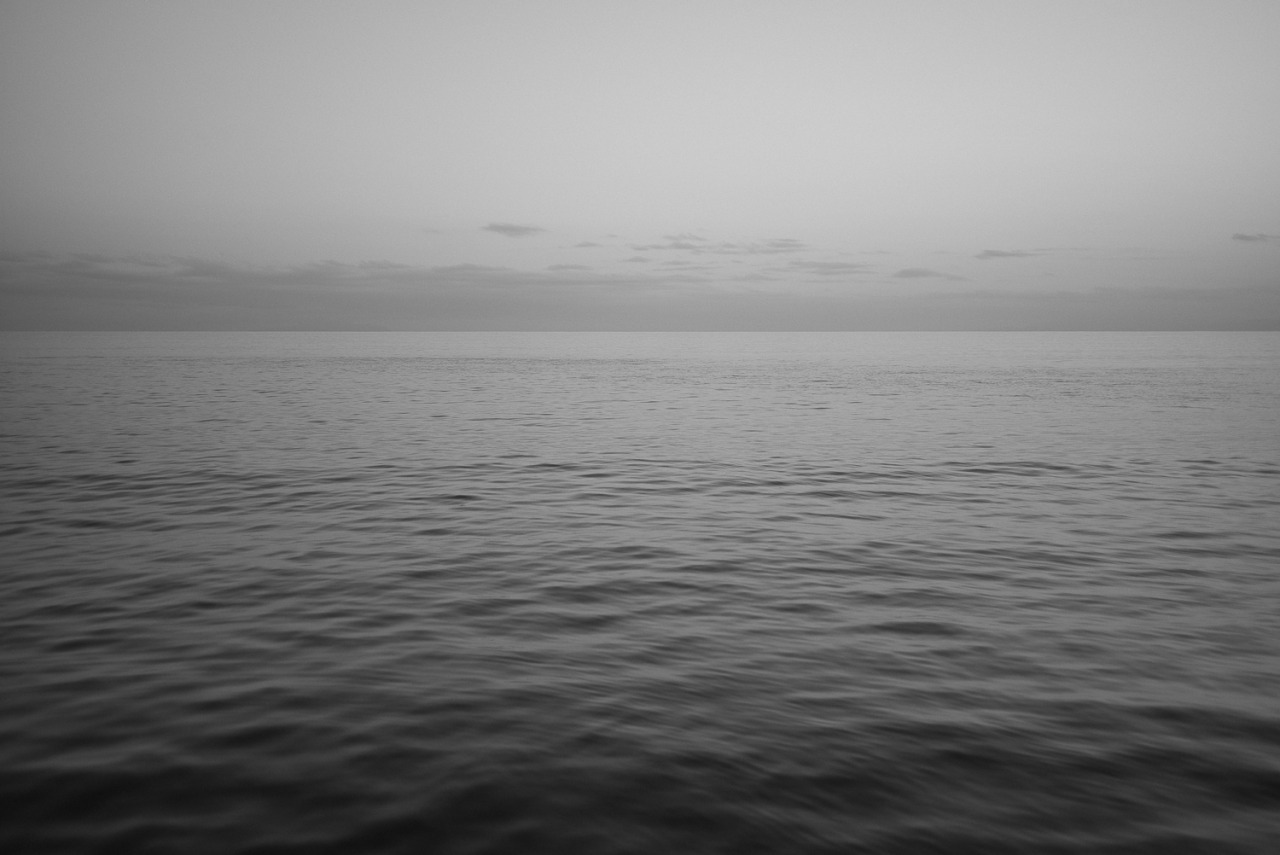 Archillect ID 113509