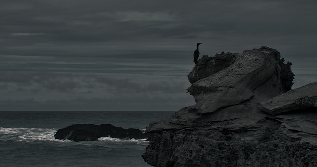 Archillect ID 113523