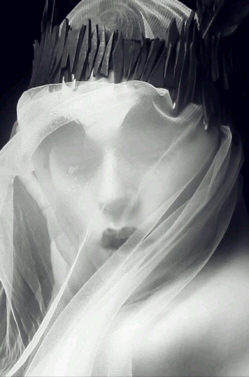 Archillect ID 113533