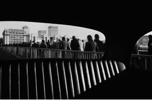 Archillect ID 113845