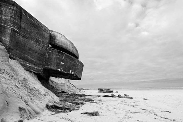 Archillect ID 113849