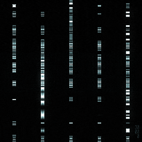 Archillect ID 113920