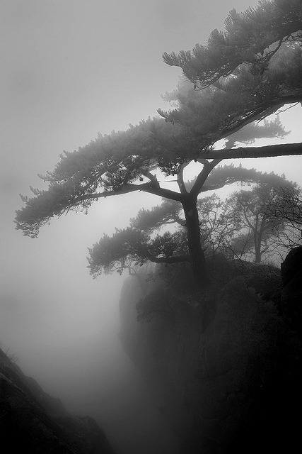 Archillect ID 113970