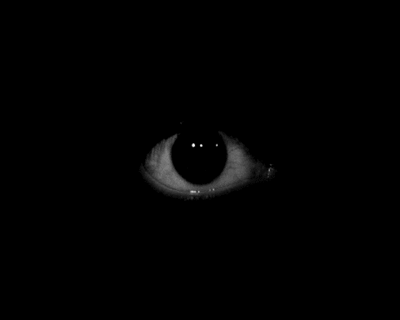 Archillect ID 113995