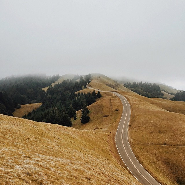Archillect ID 114082