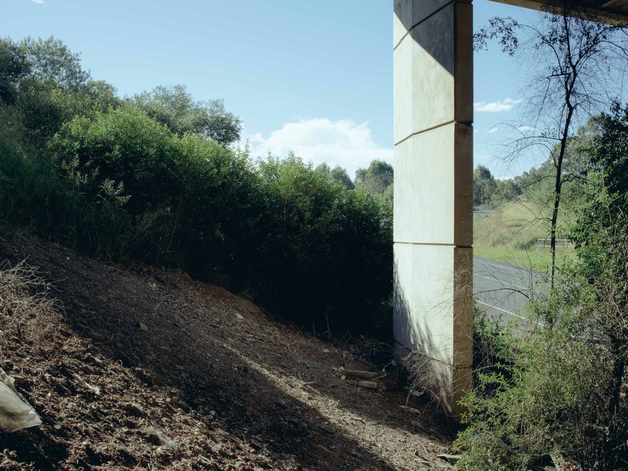 Archillect ID 114141