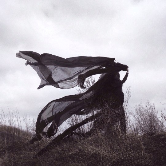 Archillect ID 114162