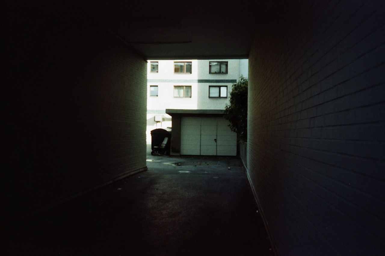 Archillect ID 114529