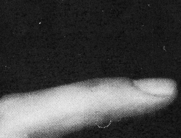 Archillect ID 114537