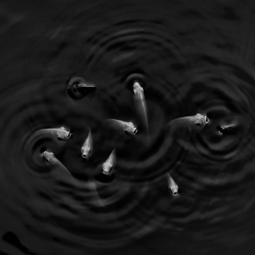 Archillect ID 114597