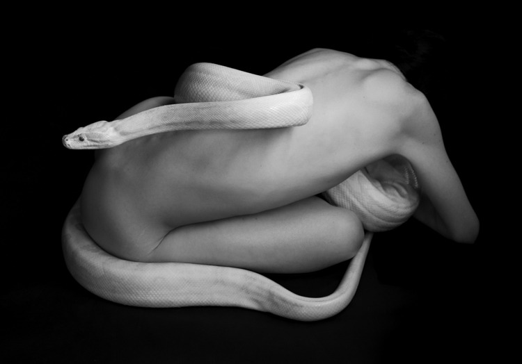 Archillect ID 114667