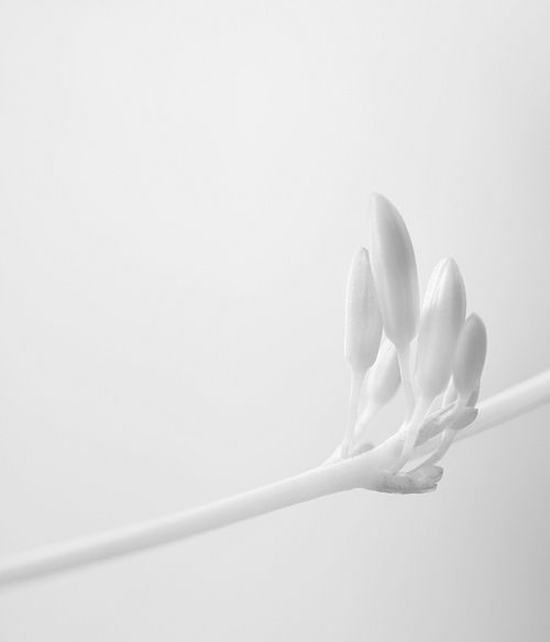 Archillect ID 114716