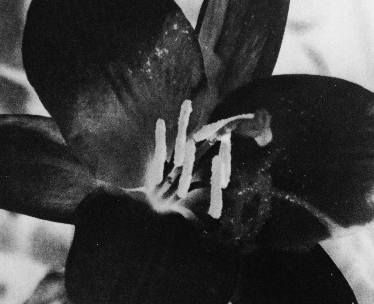 Archillect ID 114914