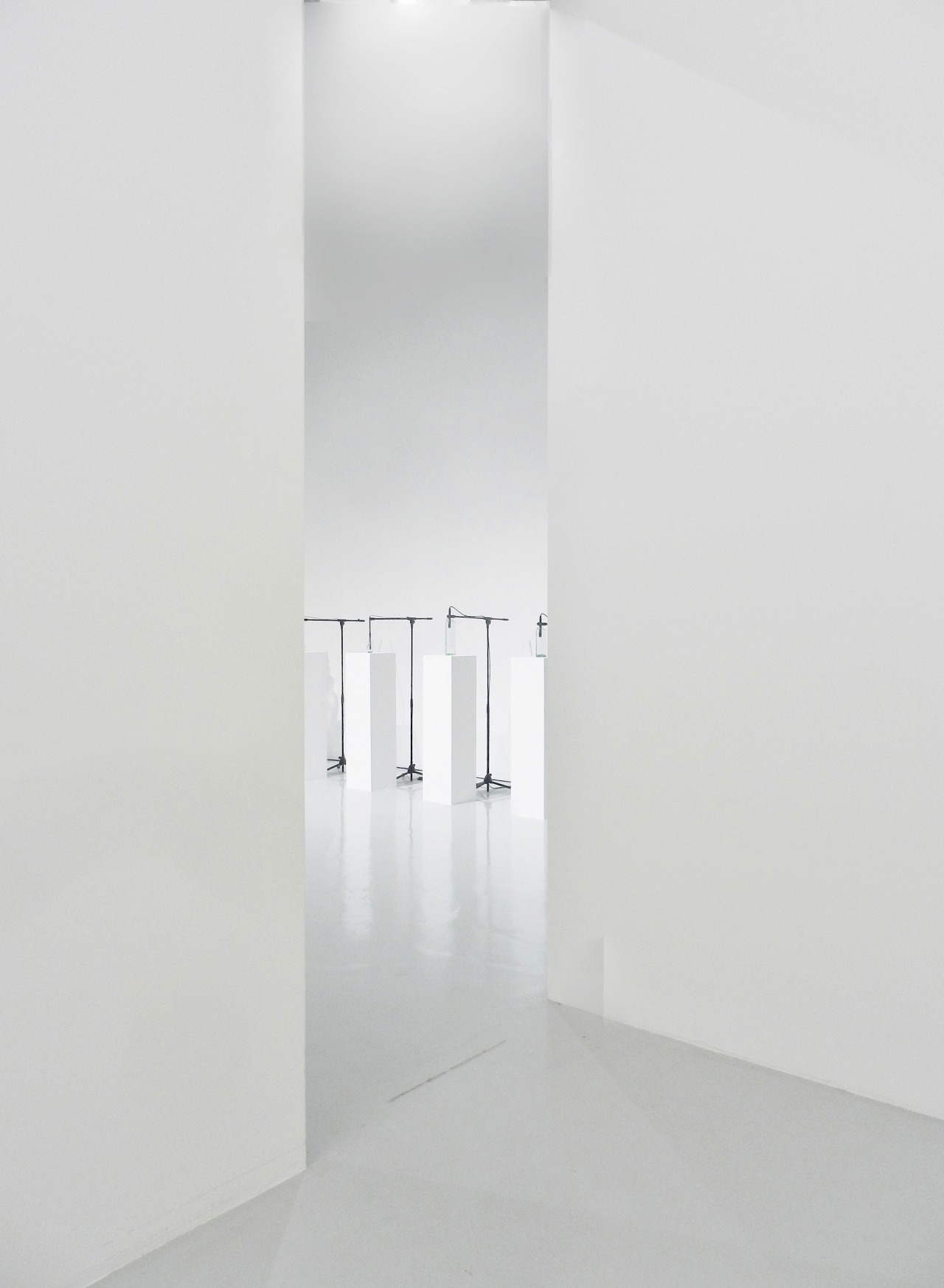 Archillect ID 115031