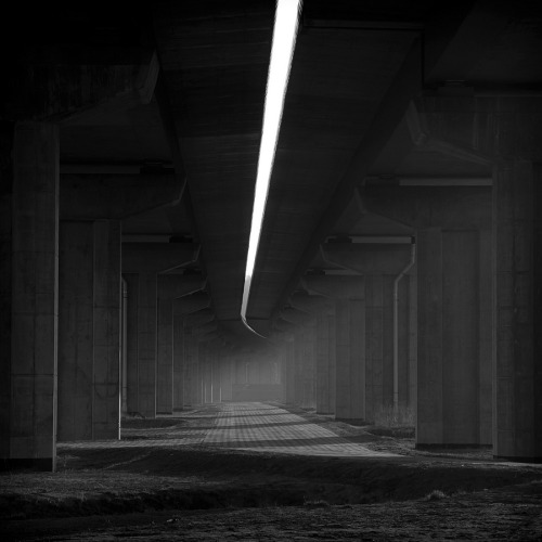 Archillect ID 115658