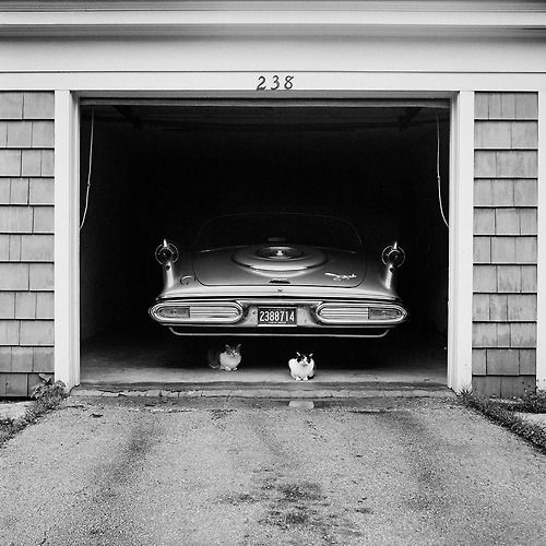 Archillect ID 115801