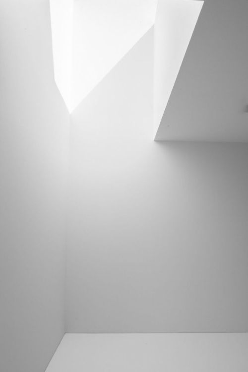 Archillect ID 115828