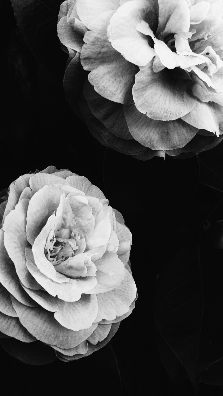 Archillect ID 115857