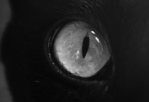 Archillect ID 115902