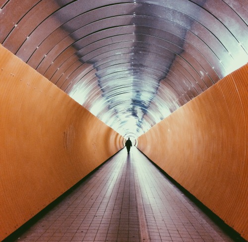 Archillect ID 115961