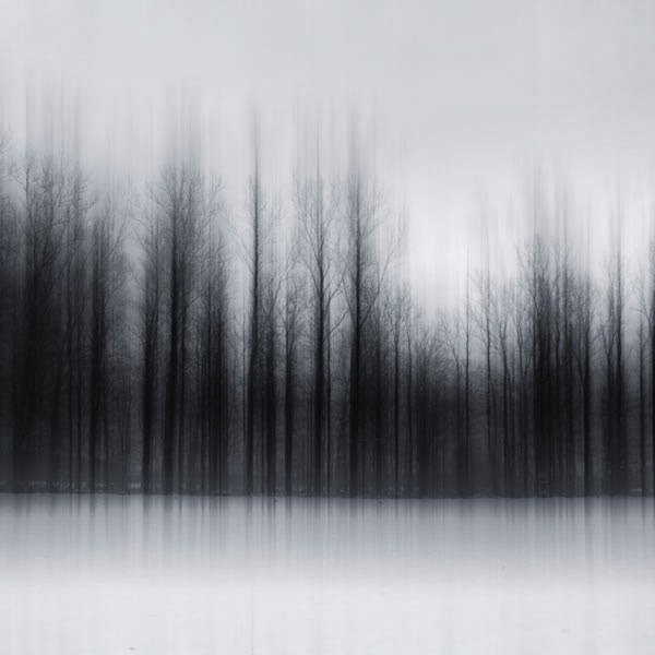 Archillect ID 116015