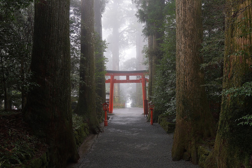Archillect ID 116183