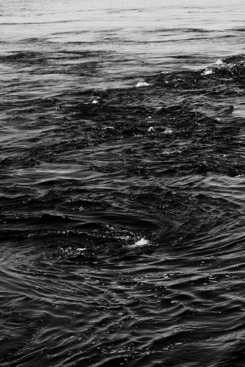 Archillect ID 116204