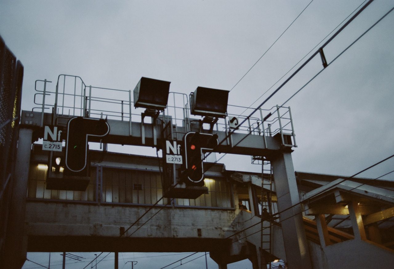 Archillect ID 116296