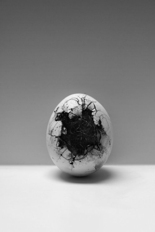 Archillect ID 116336