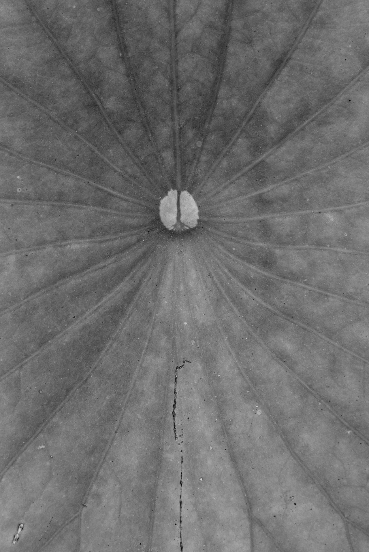 Archillect ID 116414