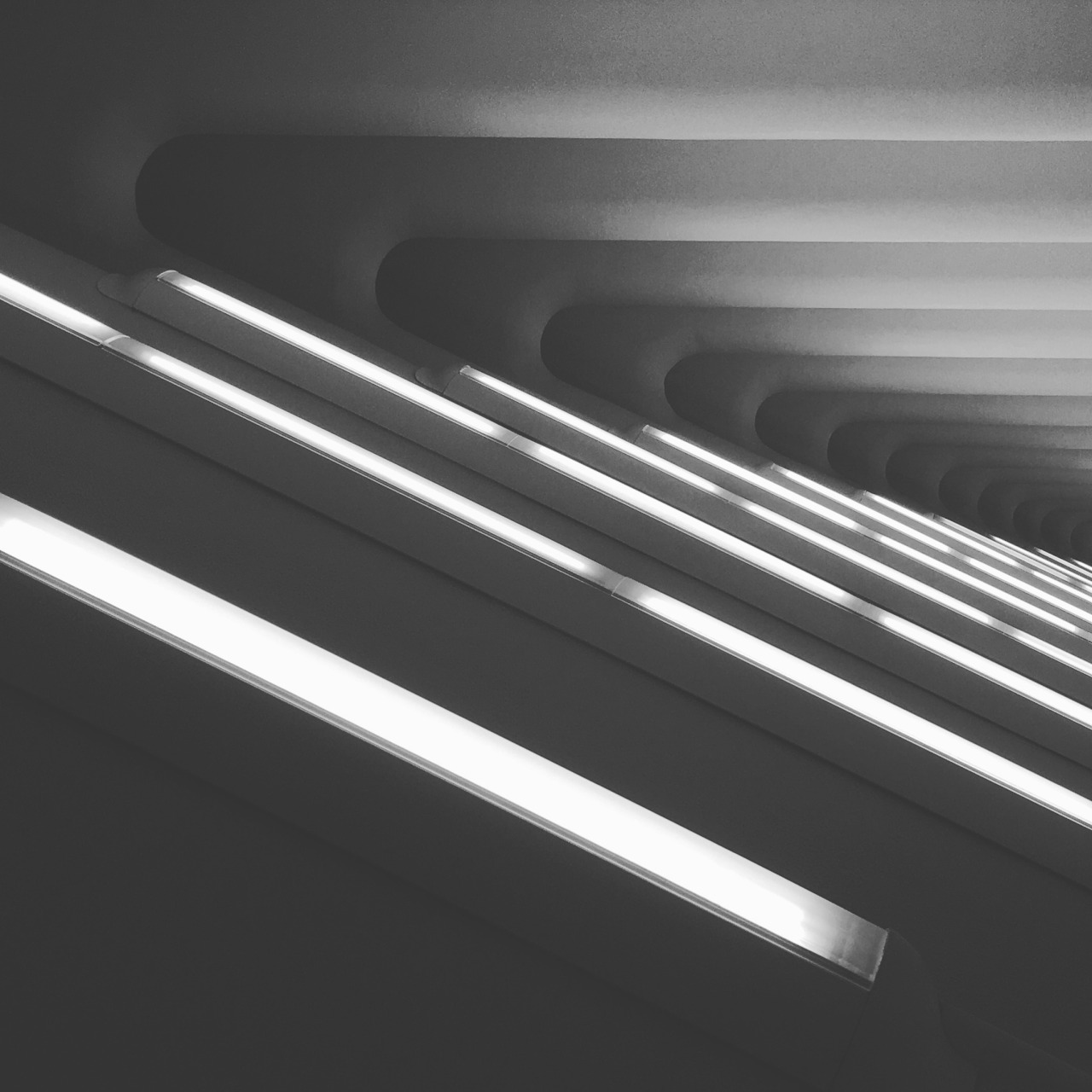 Archillect ID 116568