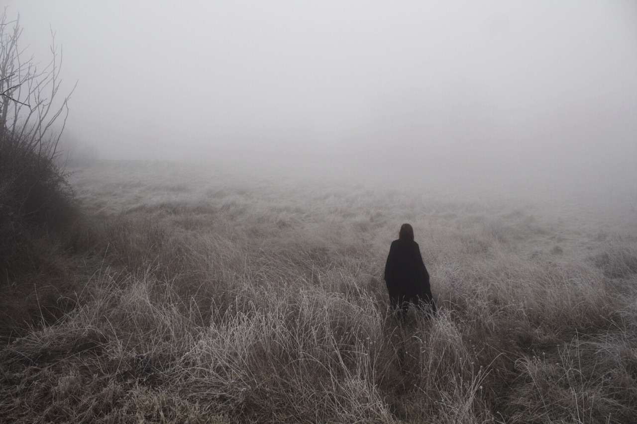 Archillect ID 116591